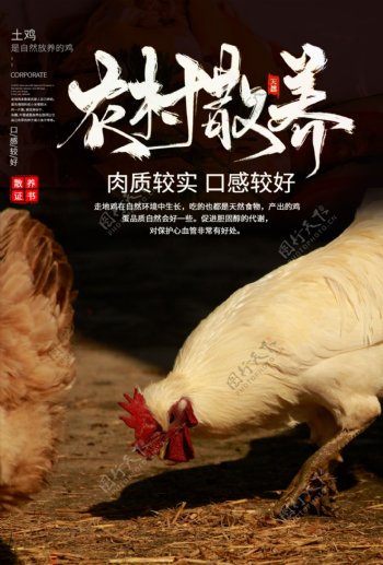散养鸡活动宣传海报素材