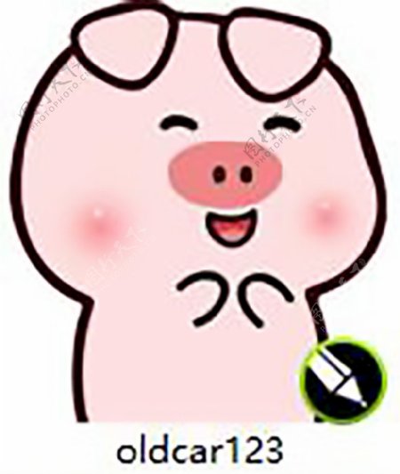 猪表情