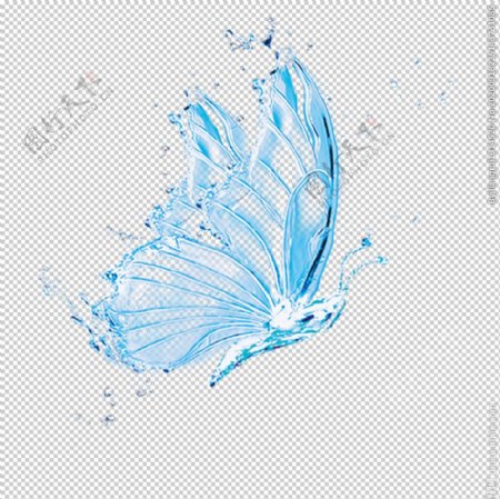 水蝴蝶图片