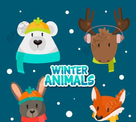 冬季动物头像图片