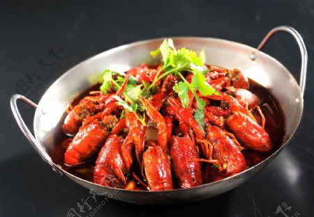 龙虾美食食材背景素材图片