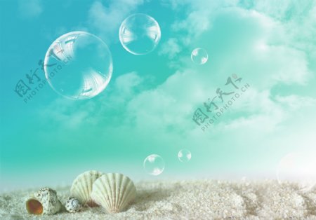 唯美海岸贝壳泡泡图片
