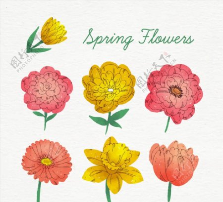 彩绘春季花朵图片