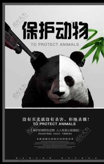 保护动物图片