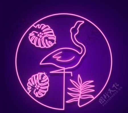 紫色火烈鸟霓虹灯图片