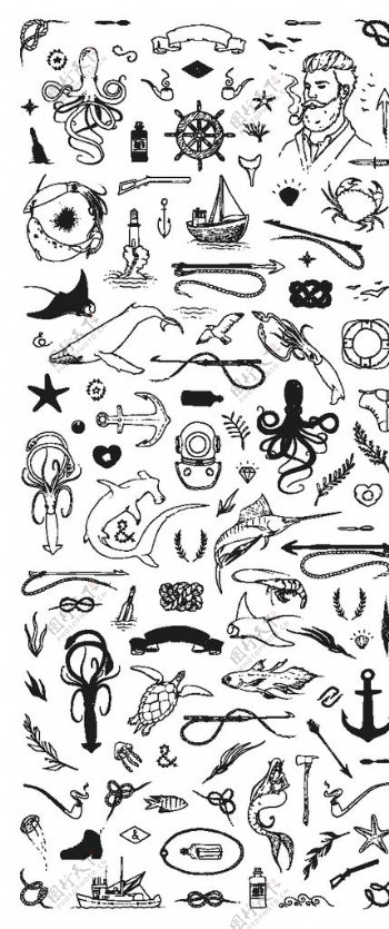 手绘海洋生物图片