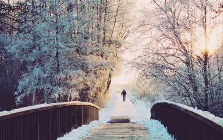 桥边踏雪风景图图片