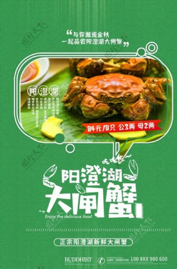 阳澄湖大闸蟹广告图片