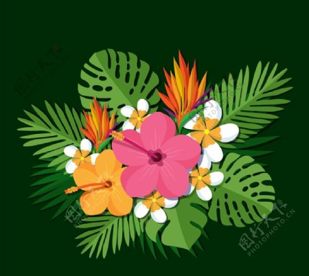 扁平化热带花束图片