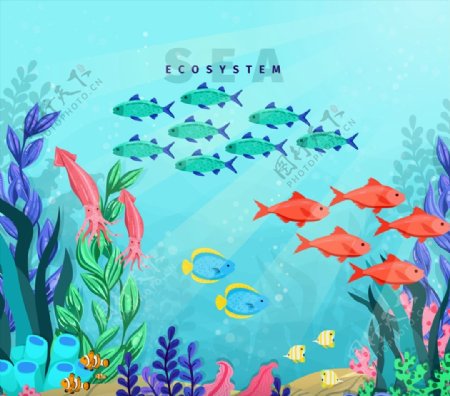 彩色海底鱼群风景图片