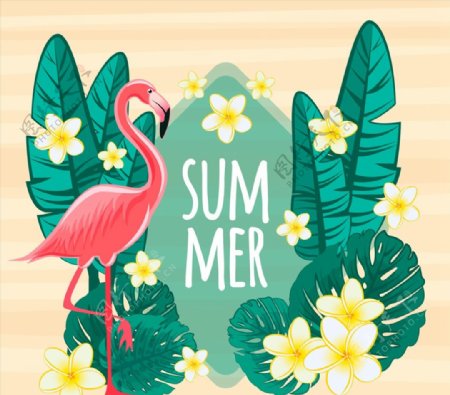 夏季花卉和火烈鸟图片
