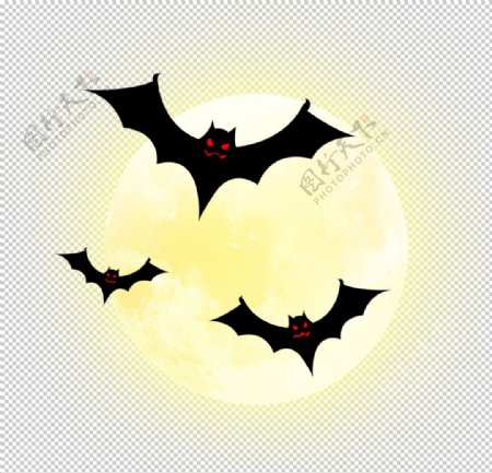 万圣节蝙蝠图片