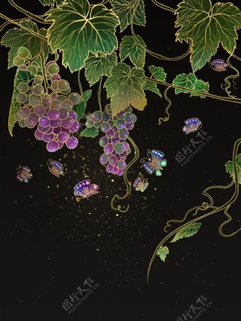 烫金中国风水果葡萄插画图片