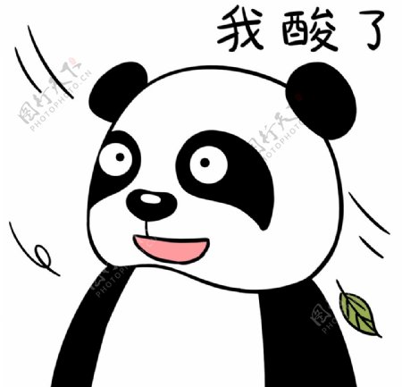 熊猫忉忉图片