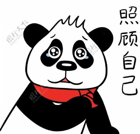 熊猫肖肖图片