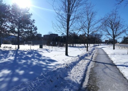 下雪的路边图片