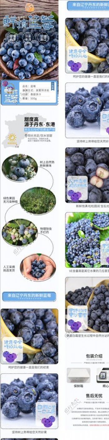 蓝莓水果蔬菜电商淘宝详情页图片