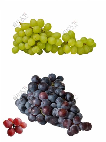 葡萄提子水果图图片