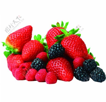 草莓素材图图片