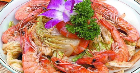 豫菜白菜炒明虾图片