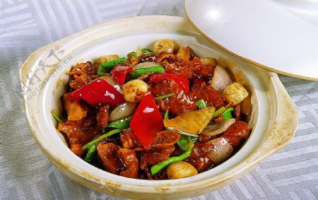 豫菜砂锅肥肠图片