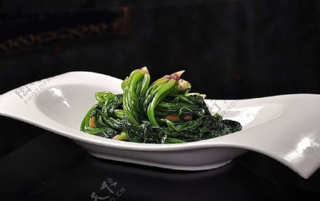 北京菜有机菠菜图片