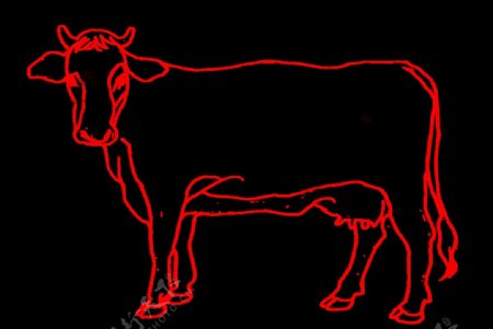 牛线稿动物手绘图片
