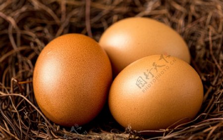 鸡蛋美食食材背景海报素材图片