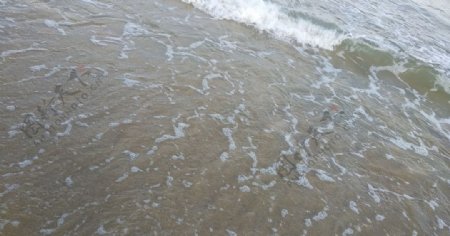 沙滩与波浪图片