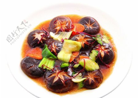 淮扬菜炒蘑菇图片