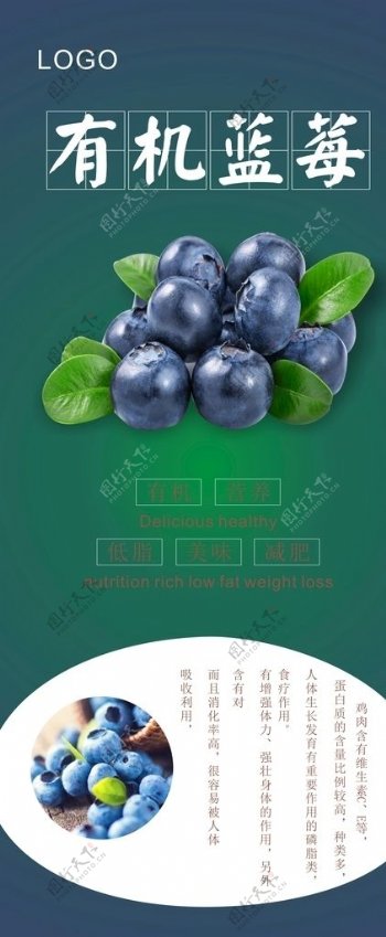 蓝莓展架图片