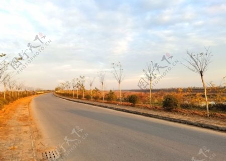 深秋时节的道路风景图片