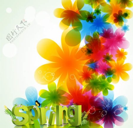 spring矢量图片
