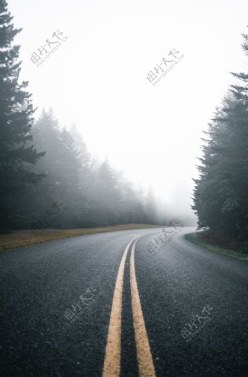 冬天雾公路背景图片