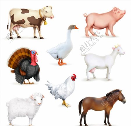 家畜与家禽矢量图片