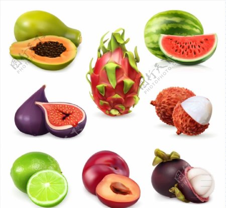 美味水果设计矢量图片