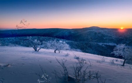雪龙山之晨图片