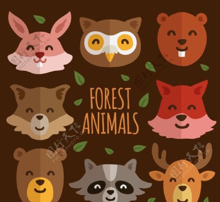 森林动物头像图片