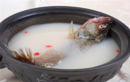 奶汤锅仔鱼图片
