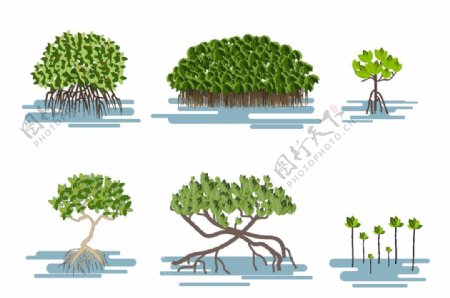 卡通水生植物图片