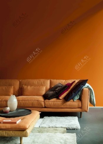 大胆橘色墙纸展示图片