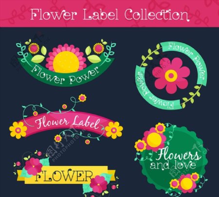 彩色花卉标签图片