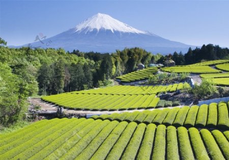 日本风光图片