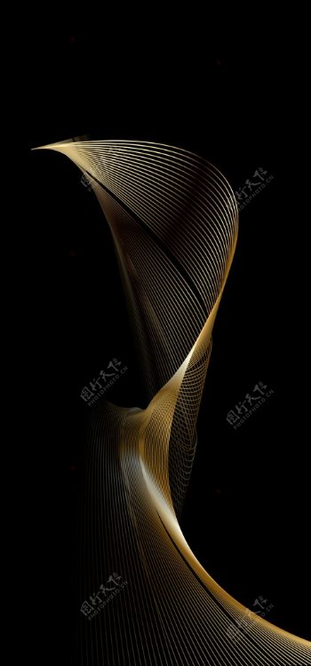 金色抽象线条装饰画图片