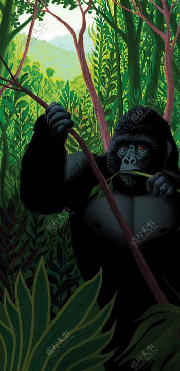 大猩猩动物卡通插画场景背景素材图片