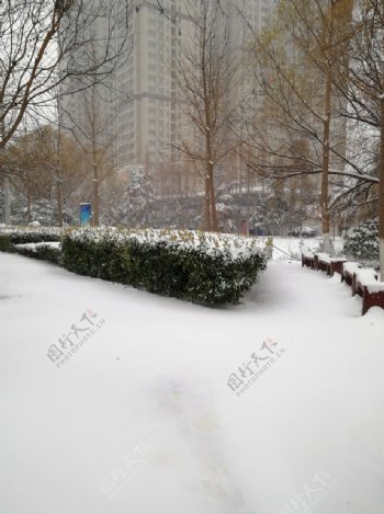 雪天景观图片